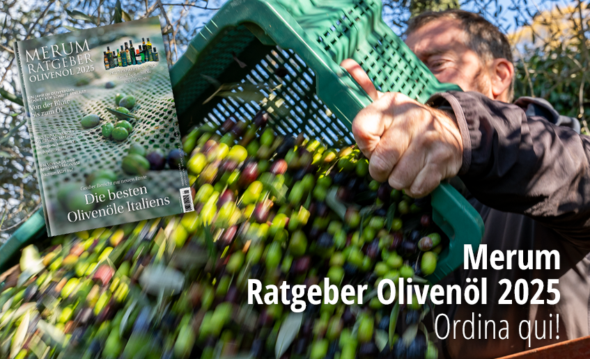 vendita olio per i mercati internazionali